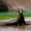 เตือนใจตามฝัน