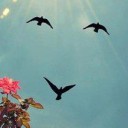 สมาชิกหมายเลข 1038143