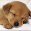 สมาชิกหมายเลข 1234142