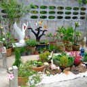 แหนมน้อย&หนอนด้น