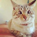 สมาชิกหมายเลข 2278825