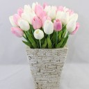 สมาชิกหมายเลข 1179633