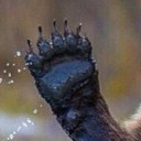 สมาชิกหมายเลข 3539454