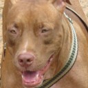 สมาชิกหมายเลข 1031464