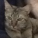 สมาชิกหมายเลข 1038546