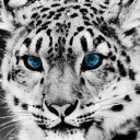 สมาชิกหมายเลข 1875299