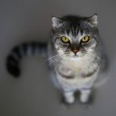 สมาชิกหมายเลข 2018069