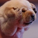 สมาชิกหมายเลข 827975