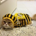 สมาชิกหมายเลข 1739546