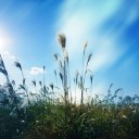 สมาชิกหมายเลข 748450