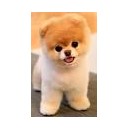 สมาชิกหมายเลข 2115224