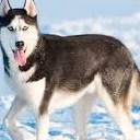 สมาชิกหมายเลข 3549266