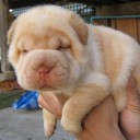 สมาชิกหมายเลข 1348595