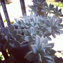 สมาชิกหมายเลข 1384943