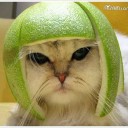 สมาชิกหมายเลข 2279890