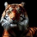 สมาชิกหมายเลข 2713903