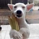 สมาชิกหมายเลข 3549459