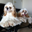 ##ขออภัยป้ายหน้าไม่จอด##