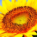 สมาชิกหมายเลข 1876680