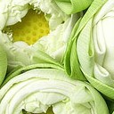 สมาชิกหมายเลข 2648949