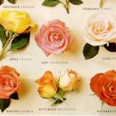 สมาชิกหมายเลข 2671468