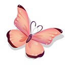 ยัยม้าลาย