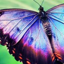 สมาชิกหมายเลข 2280421