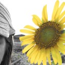 สมาชิกหมายเลข 2280703