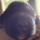 สมาชิกหมายเลข 1457764