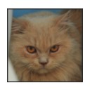 เสือช้อย