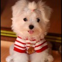 สมาชิกหมายเลข 1040925