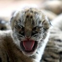 สมาชิกหมายเลข 1041169