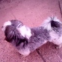 สมาชิกหมายเลข 748824