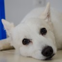 สมาชิกหมายเลข 1892002