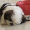 สมาชิกหมายเลข 832627