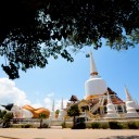 สมาชิกหมายเลข 3159728