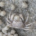 สมาชิกหมายเลข 3496160