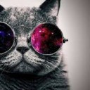 สมาชิกหมายเลข 3538354