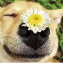 สมาชิกหมายเลข 3549688