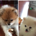 สมาชิกหมายเลข 3550924