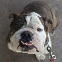 เบรานิ่ง