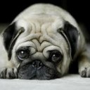 โปสการ์ดใบนั้นฉันส่งถึงเธอ