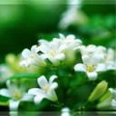 ใฝ่รู้ใฝ่เรียน