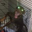 สมาชิกหมายเลข 1449498