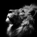 สมาชิกหมายเลข 1984201