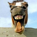 สมาชิกหมายเลข 2672638