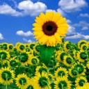 กรุณาอย่าจอดรถขวางประตู