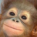 คุณลูน่า