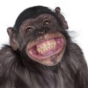 สมาชิกหมายเลข 2570646