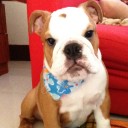 สมาชิกหมายเลข 1034542